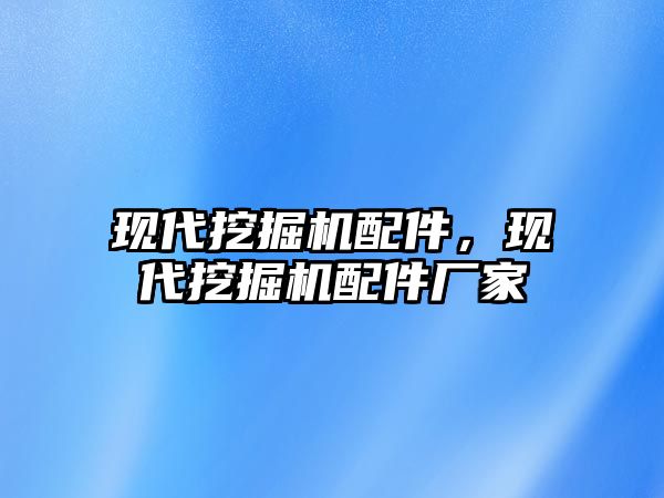 現(xiàn)代挖掘機配件，現(xiàn)代挖掘機配件廠家