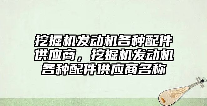 挖掘機發(fā)動機各種配件供應(yīng)商，挖掘機發(fā)動機各種配件供應(yīng)商名稱