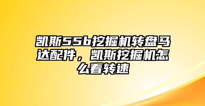 凱斯55b挖掘機轉(zhuǎn)盤馬達配件，凱斯挖掘機怎么看轉(zhuǎn)速