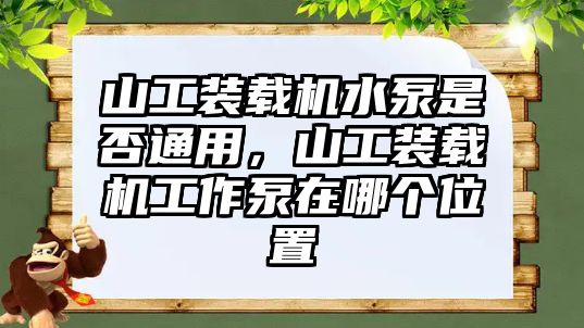 山工裝載機(jī)水泵是否通用，山工裝載機(jī)工作泵在哪個位置