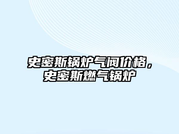 史密斯鍋爐氣閥價格，史密斯燃氣鍋爐