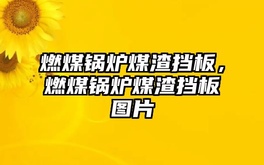 燃煤鍋爐煤渣擋板，燃煤鍋爐煤渣擋板圖片