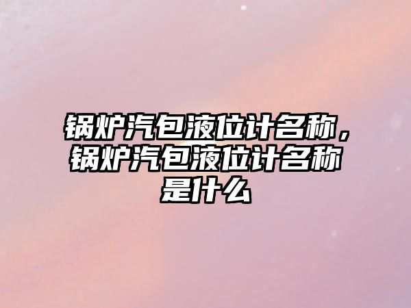 鍋爐汽包液位計(jì)名稱，鍋爐汽包液位計(jì)名稱是什么