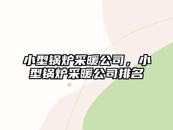 小型鍋爐采暖公司，小型鍋爐采暖公司排名