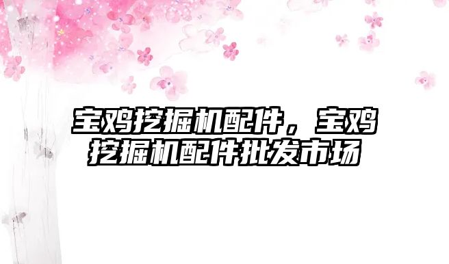 寶雞挖掘機配件，寶雞挖掘機配件批發(fā)市場