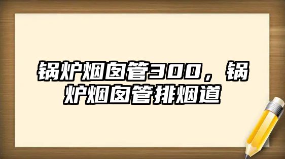 鍋爐煙囪管300，鍋爐煙囪管排煙道