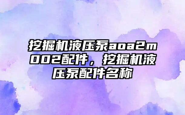 挖掘機液壓泵aoa2m002配件，挖掘機液壓泵配件名稱