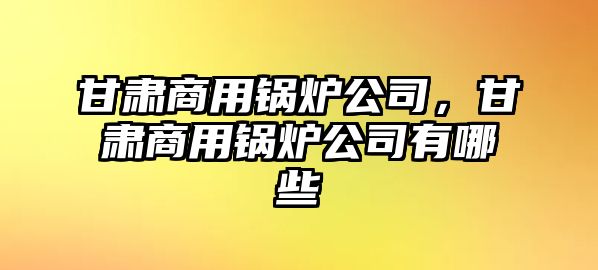 甘肅商用鍋爐公司，甘肅商用鍋爐公司有哪些