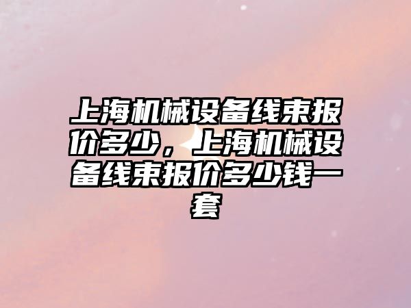 上海機械設(shè)備線束報價多少，上海機械設(shè)備線束報價多少錢一套