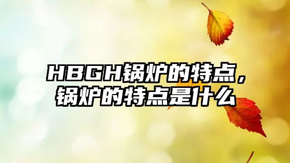 HBGH鍋爐的特點(diǎn)，鍋爐的特點(diǎn)是什么