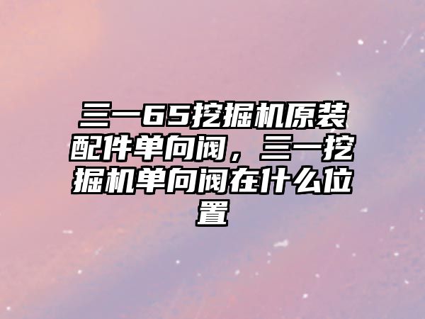 三一65挖掘機原裝配件單向閥，三一挖掘機單向閥在什么位置