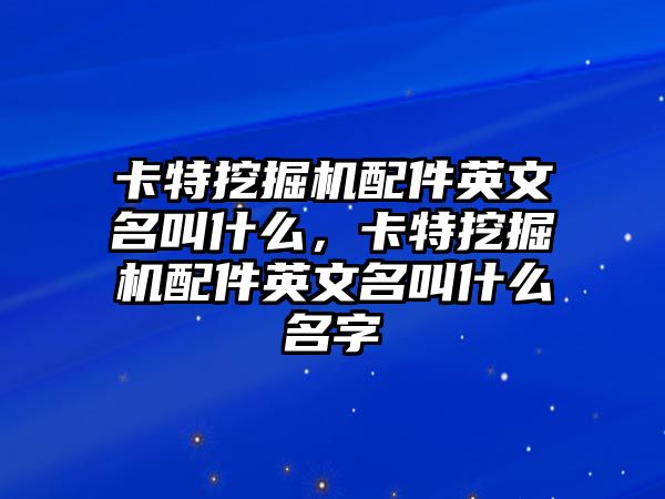 卡特挖掘機(jī)配件英文名叫什么，卡特挖掘機(jī)配件英文名叫什么名字