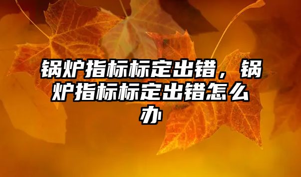 鍋爐指標標定出錯，鍋爐指標標定出錯怎么辦