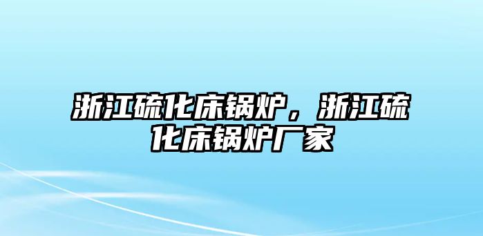 浙江硫化床鍋爐，浙江硫化床鍋爐廠家