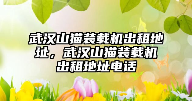 武漢山貓裝載機(jī)出租地址，武漢山貓裝載機(jī)出租地址電話