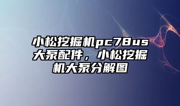 小松挖掘機(jī)pc78us大泵配件，小松挖掘機(jī)大泵分解圖