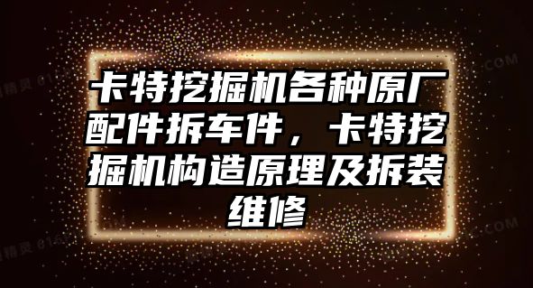 卡特挖掘機(jī)各種原廠配件拆車件，卡特挖掘機(jī)構(gòu)造原理及拆裝維修