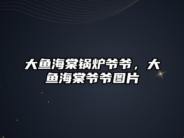 大魚(yú)海棠鍋爐爺爺，大魚(yú)海棠爺爺圖片