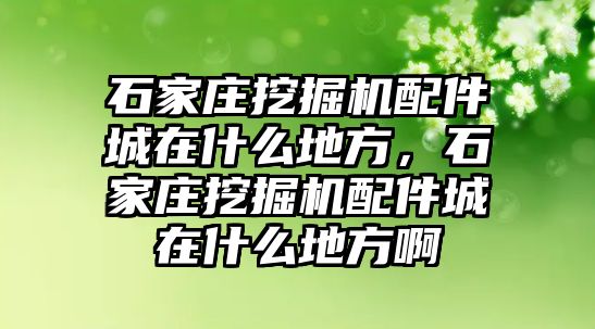 石家莊挖掘機配件城在什么地方，石家莊挖掘機配件城在什么地方啊