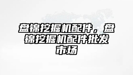 盤錦挖掘機配件，盤錦挖掘機配件批發(fā)市場