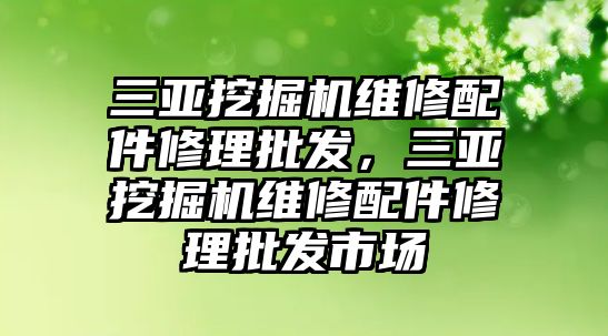 三亞挖掘機(jī)維修配件修理批發(fā)，三亞挖掘機(jī)維修配件修理批發(fā)市場