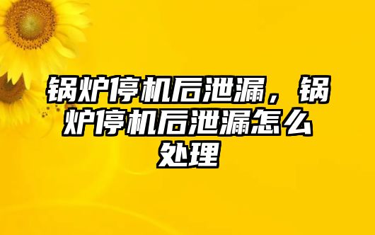 鍋爐停機(jī)后泄漏，鍋爐停機(jī)后泄漏怎么處理