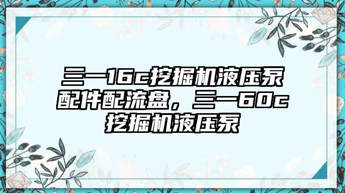 三一16c挖掘機液壓泵配件配流盤，三一60c挖掘機液壓泵