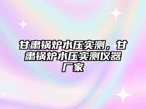 甘肅鍋爐水壓實測，甘肅鍋爐水壓實測儀器廠家