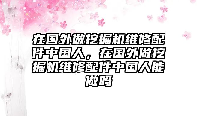 在國(guó)外做挖掘機(jī)維修配件中國(guó)人，在國(guó)外做挖掘機(jī)維修配件中國(guó)人能做嗎