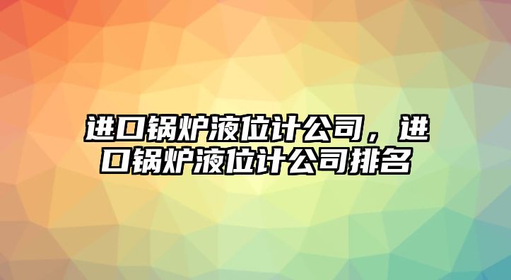 進(jìn)口鍋爐液位計公司，進(jìn)口鍋爐液位計公司排名