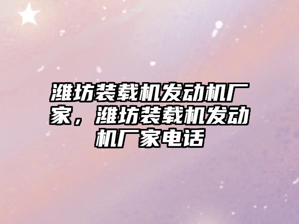 濰坊裝載機發(fā)動機廠家，濰坊裝載機發(fā)動機廠家電話