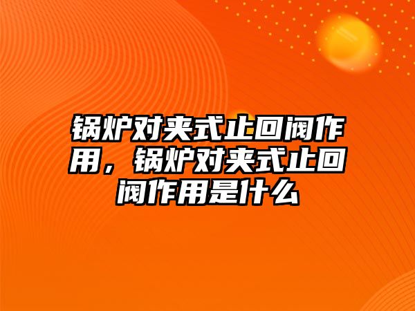 鍋爐對(duì)夾式止回閥作用，鍋爐對(duì)夾式止回閥作用是什么