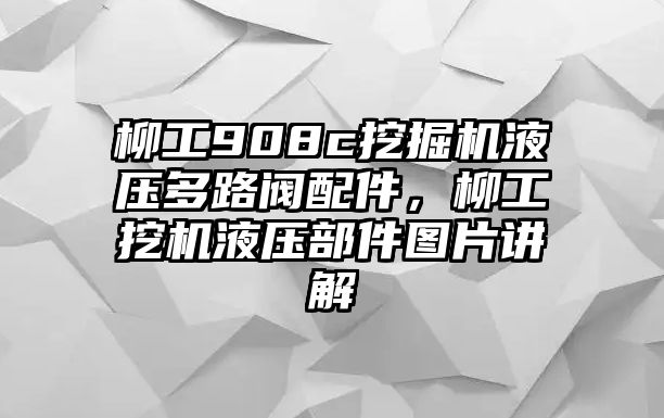 柳工908c挖掘機液壓多路閥配件，柳工挖機液壓部件圖片講解