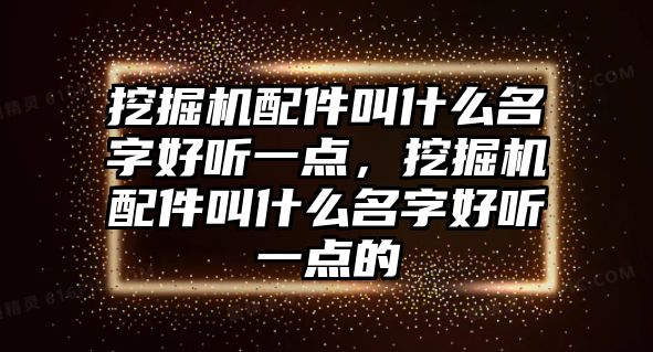 挖掘機配件叫什么名字好聽一點，挖掘機配件叫什么名字好聽一點的