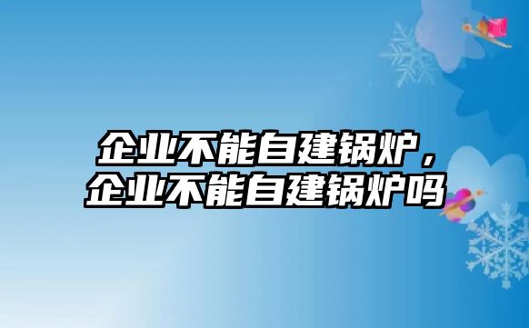 企業(yè)不能自建鍋爐，企業(yè)不能自建鍋爐嗎