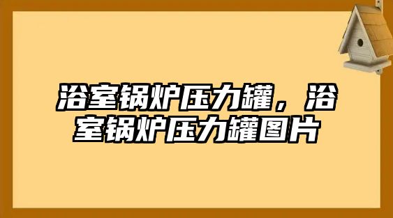 浴室鍋爐壓力罐，浴室鍋爐壓力罐圖片