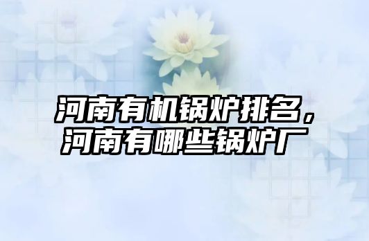 河南有機鍋爐排名，河南有哪些鍋爐廠