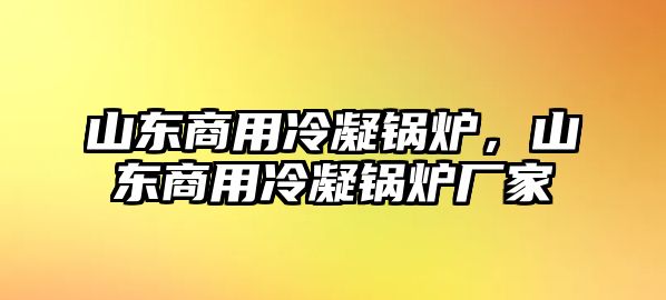 山東商用冷凝鍋爐，山東商用冷凝鍋爐廠家