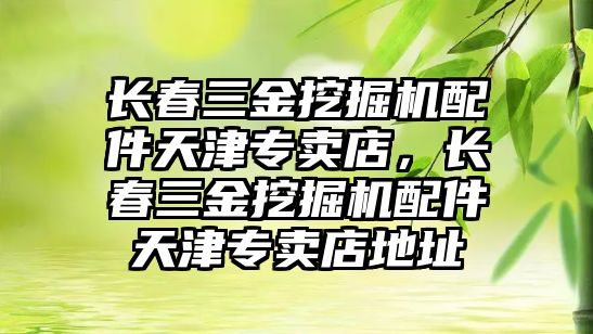 長春三金挖掘機配件天津?qū)Ｙu店，長春三金挖掘機配件天津?qū)Ｙu店地址