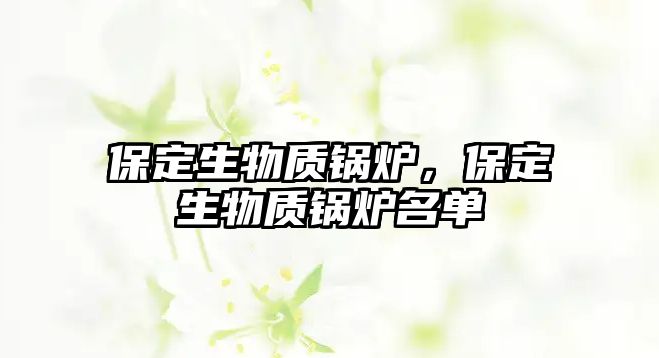 保定生物質(zhì)鍋爐，保定生物質(zhì)鍋爐名單