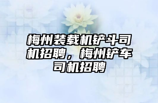 梅州裝載機鏟斗司機招聘，梅州鏟車司機招聘