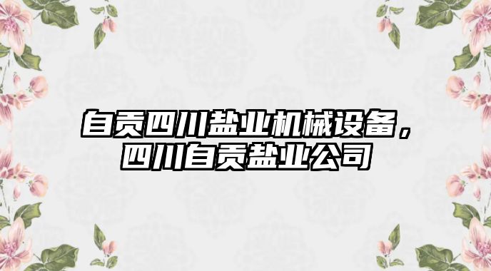 自貢四川鹽業(yè)機械設備，四川自貢鹽業(yè)公司