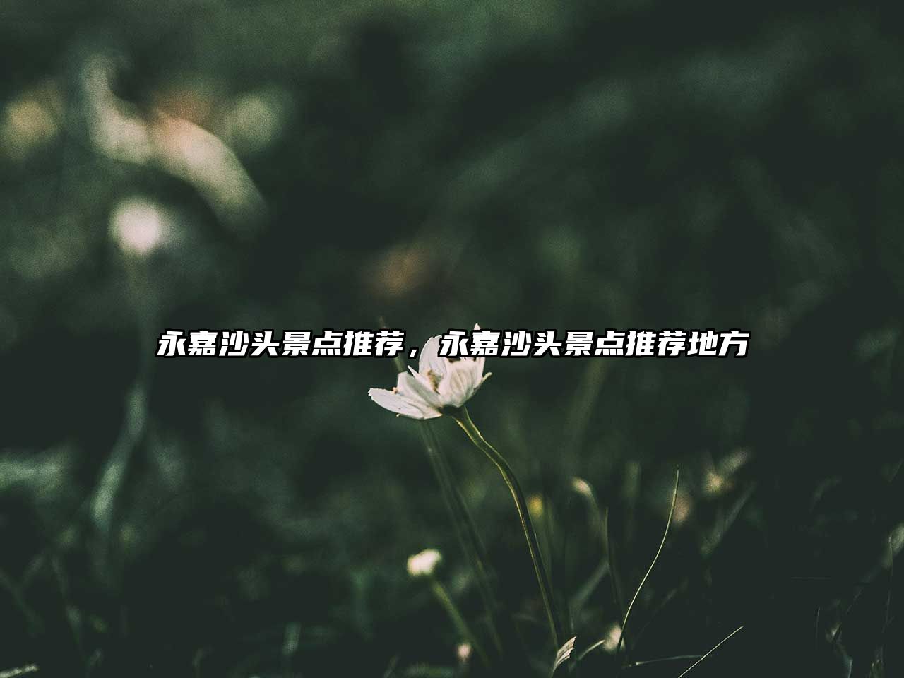 永嘉沙頭景點(diǎn)推薦，永嘉沙頭景點(diǎn)推薦地方