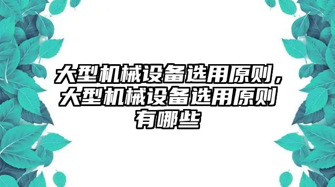 大型機(jī)械設(shè)備選用原則，大型機(jī)械設(shè)備選用原則有哪些