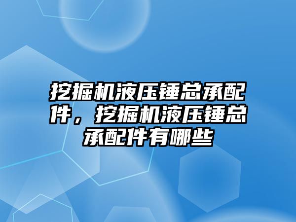 挖掘機液壓錘總承配件，挖掘機液壓錘總承配件有哪些