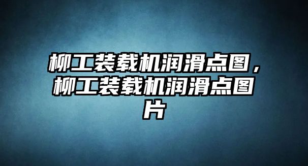 柳工裝載機(jī)潤(rùn)滑點(diǎn)圖，柳工裝載機(jī)潤(rùn)滑點(diǎn)圖片