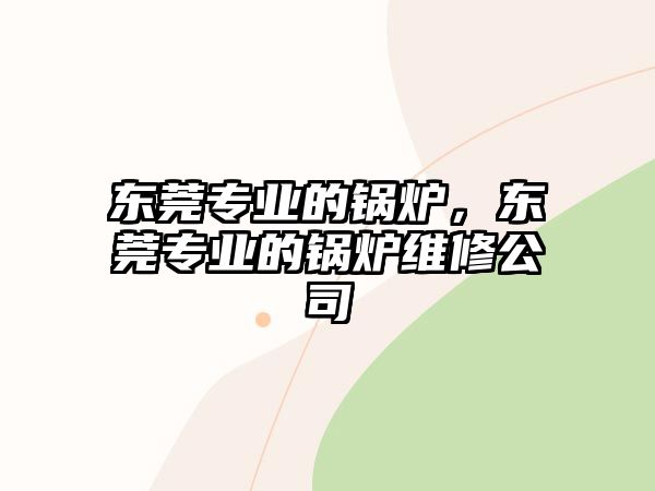 東莞專業(yè)的鍋爐，東莞專業(yè)的鍋爐維修公司