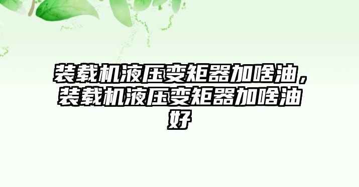 裝載機(jī)液壓變矩器加啥油，裝載機(jī)液壓變矩器加啥油好