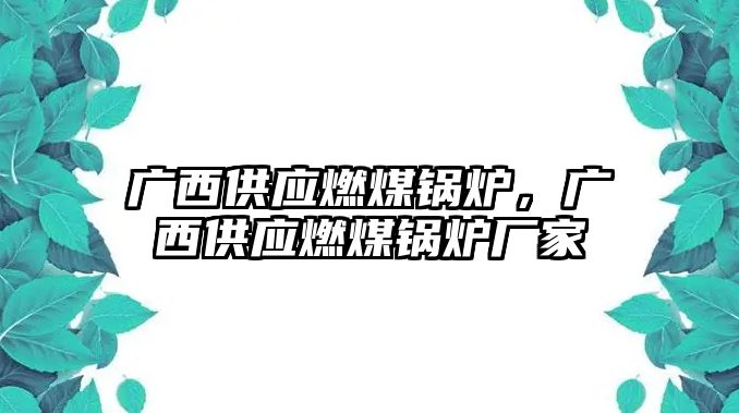 廣西供應燃煤鍋爐，廣西供應燃煤鍋爐廠家