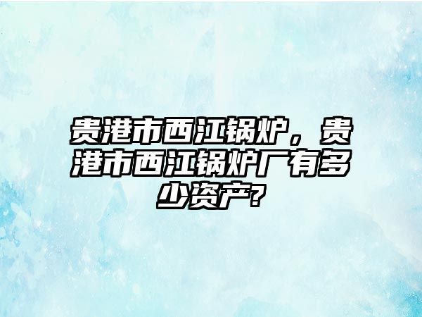 貴港市西江鍋爐，貴港市西江鍋爐廠有多少資產(chǎn)?